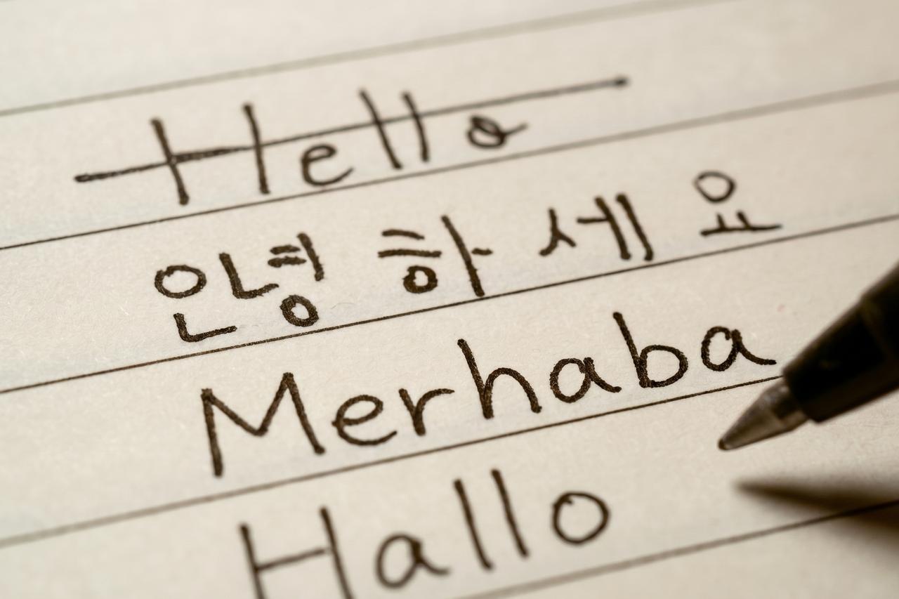 English is no longer enough: Türkiye turns to German and Korean