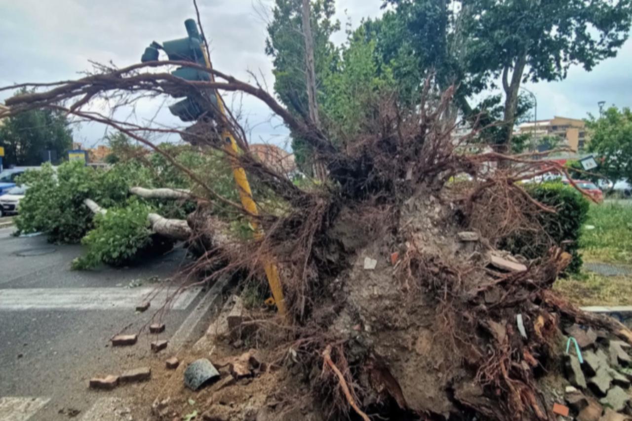 Destructive tornado, flash floods hit Rome after holiday weekend