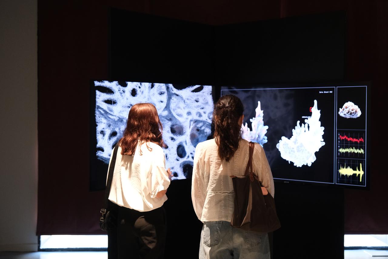 Visitors examine digital artworks at the 6th Istanbul Digital Art Festival at Ataturk Cultural Center in Istanbul, Türkiye. (Photo via Mezo)