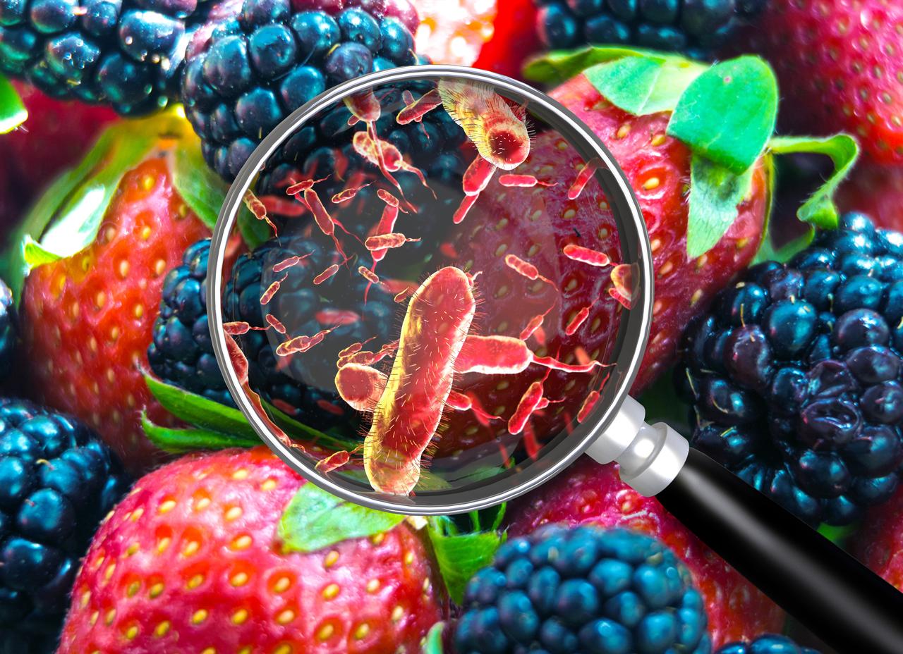 An illustration depicting food contamination. (Adobe Stock Photo)