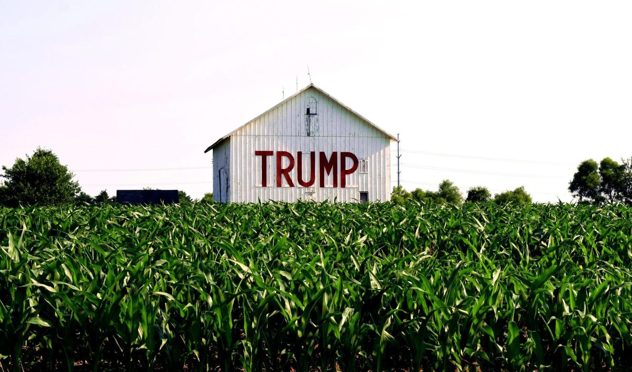 A farmer's barn in Somerset in rural central Ohio features a show of support for presidential candidate Donald Trump. (Photo via X)