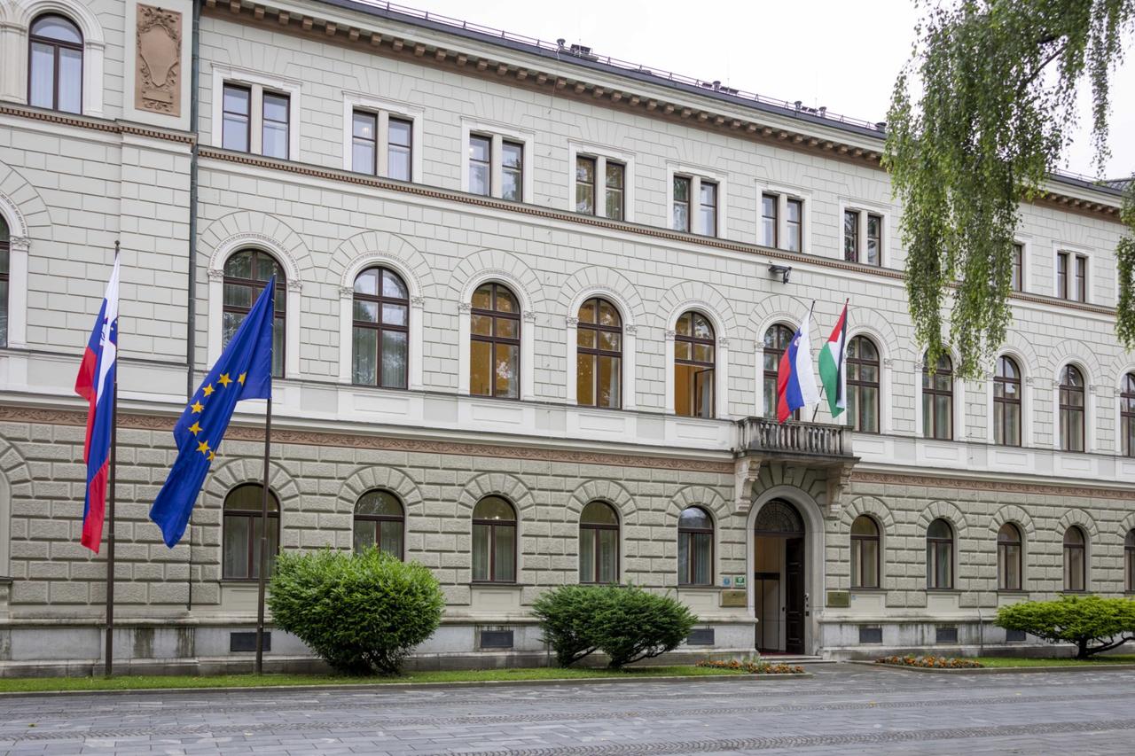Slovenian president raises Palestinian flag after government removes it