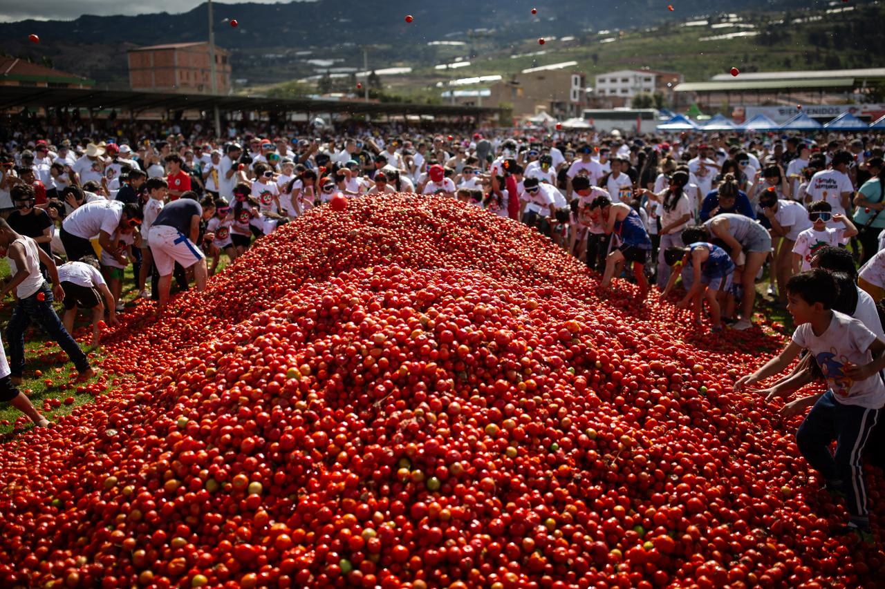 Annual tomatina festival sees 40 tons of tomatoes launched