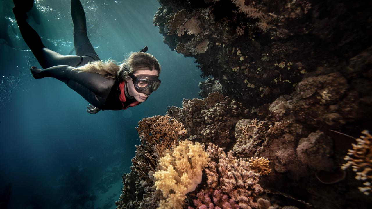 Free-diver Sahika Ercumen warns of dying coral reefs