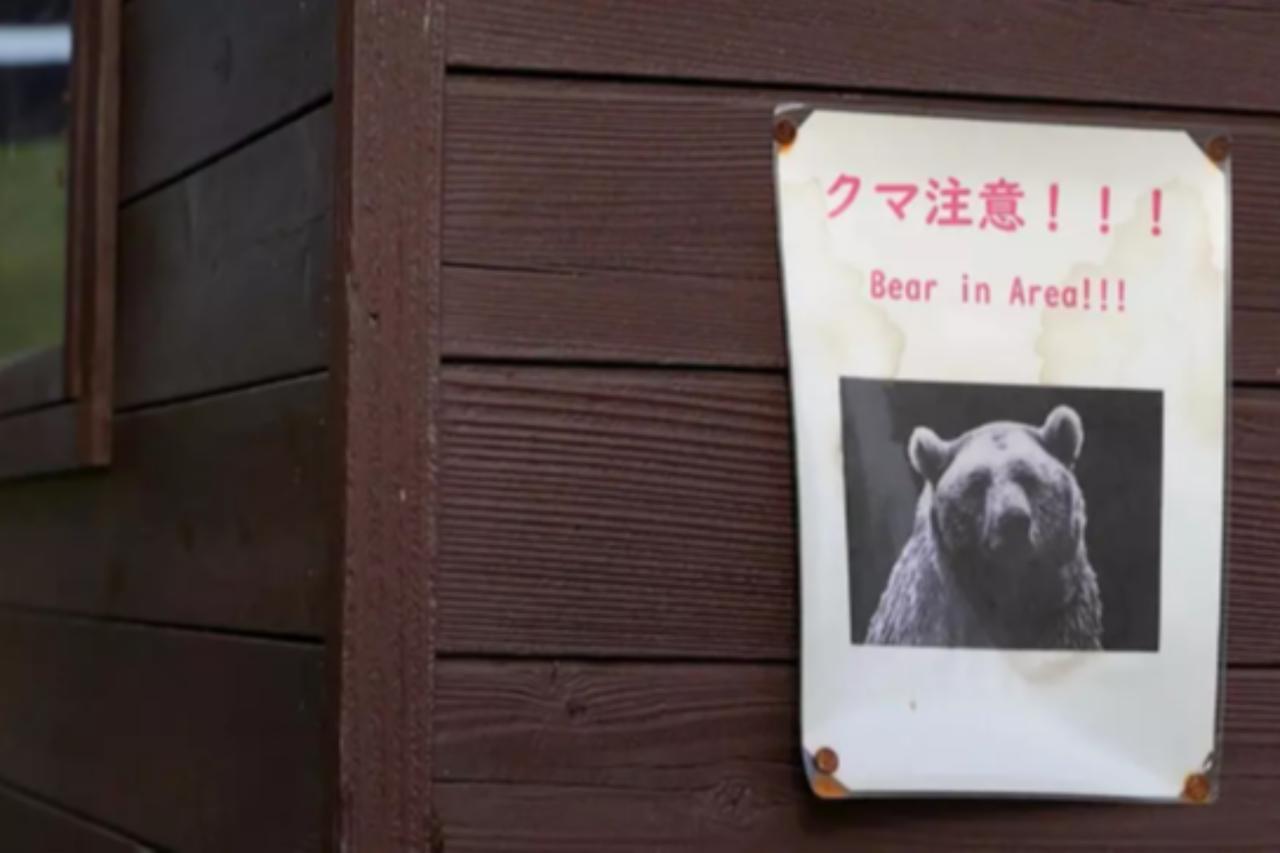 Bear sightings shut down 94 schools in Japan