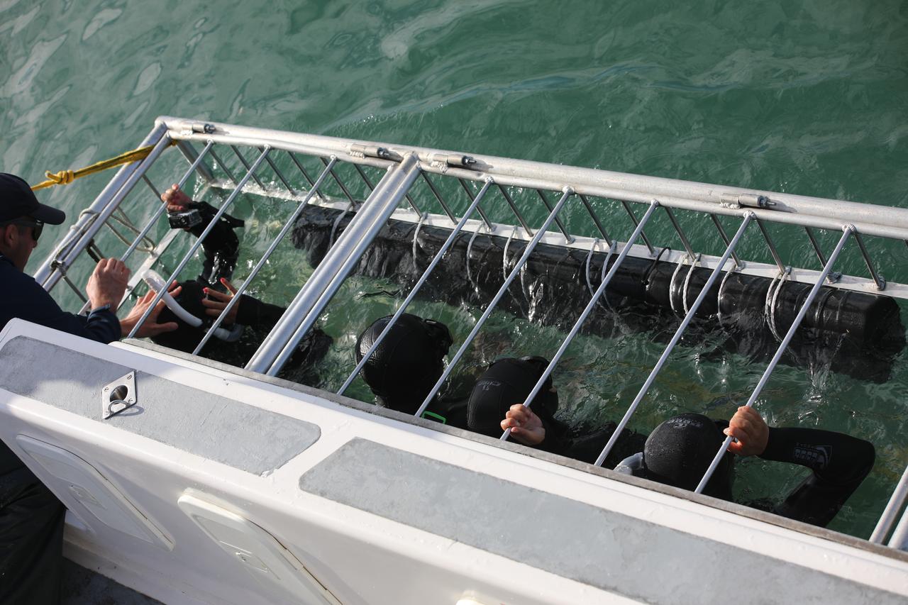 People sit in a shark cage off the coast of South Africa, June 8, 2026. (AA Photo)