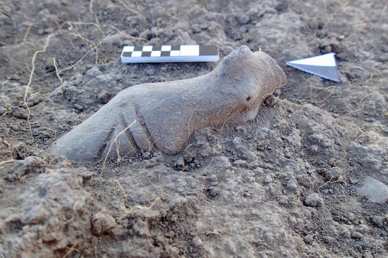 8,000-year-old figurines in Türkiye point to Neolithic ritual practices
