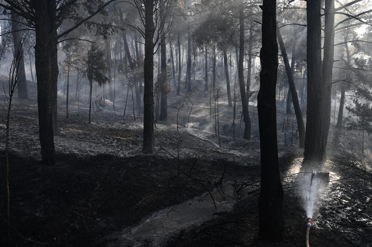 This photograph shows smoke raising from a forest fire in Liti, a village north of Thessaloniki, June 30, 2026. (AFP Photo)