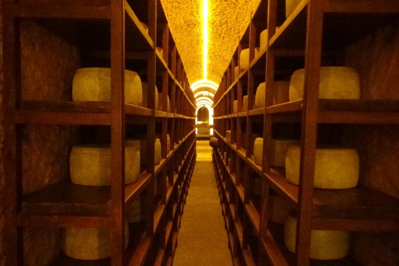 Kars Cheese Museum draws 60,000 visitors in first half of 2026