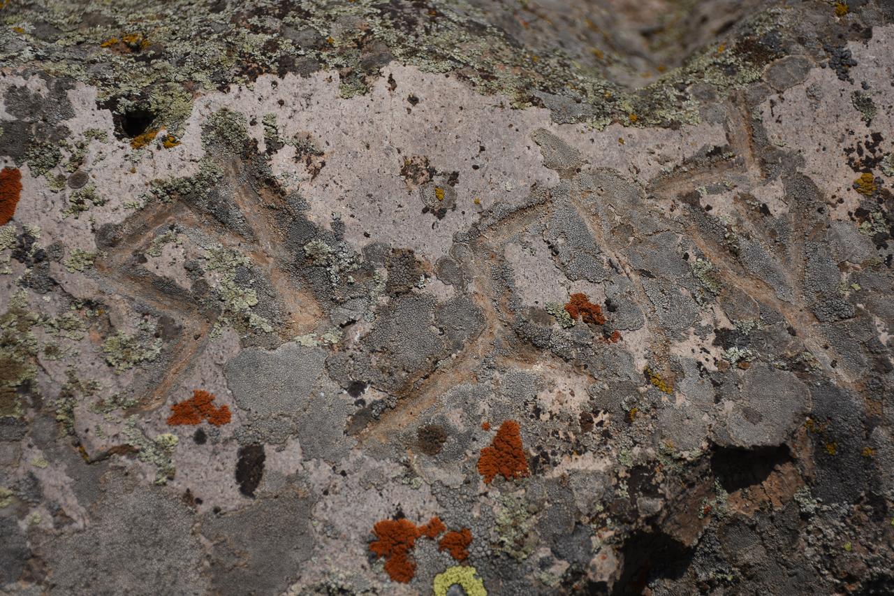 Possible Turkic mark found at Türkiye's Binbirkilise site in Karaman