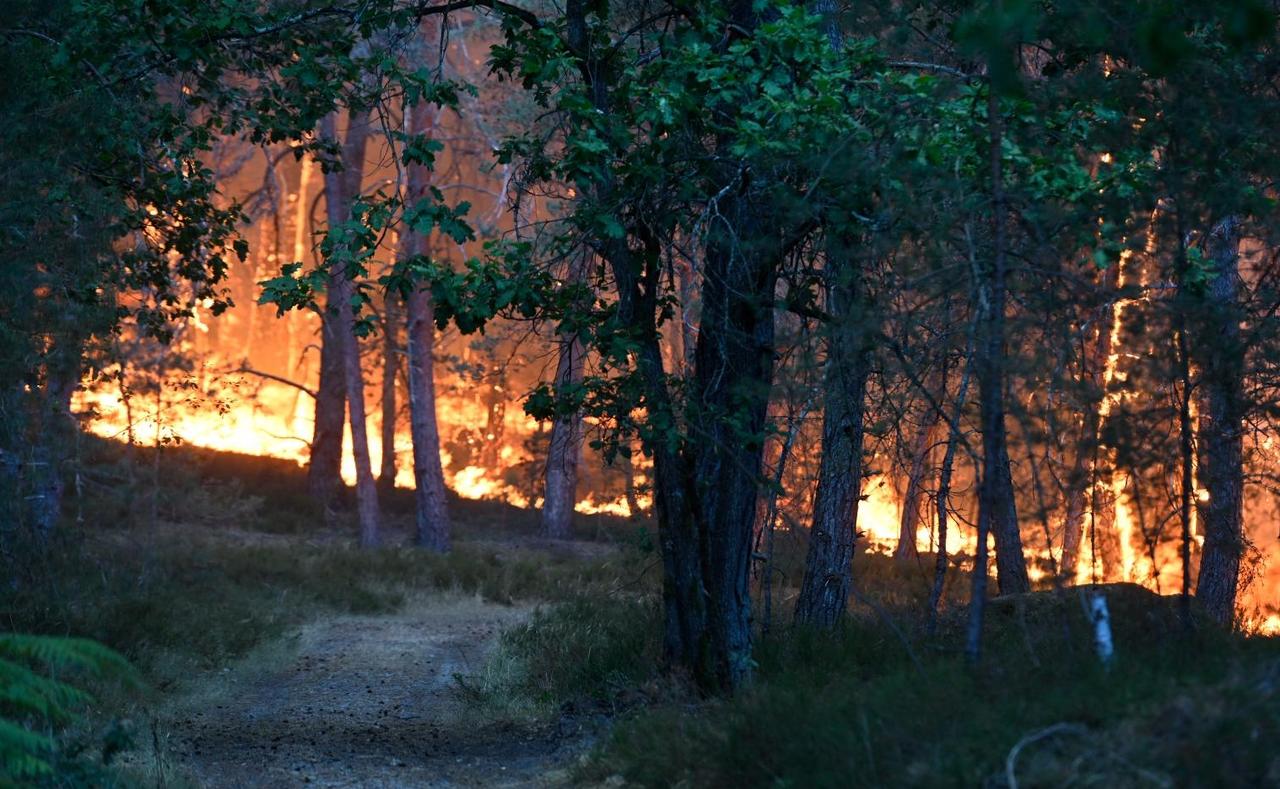 Fire raging in the Fontainebleau Forest on July 12, 2026. (AFP Photo)