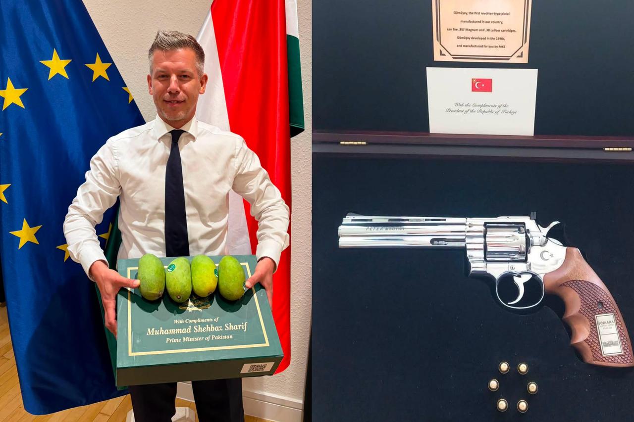 Diplomatic contrast: Hungarian PM notes guns from Türkiye, mangoes from Pakistan