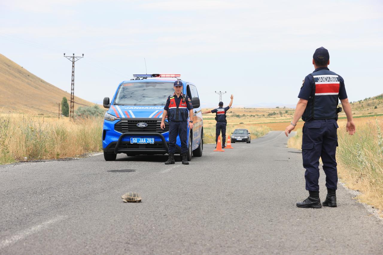 Caution, turtle crossing: Turkish gendarmerie patrols keep watch on Cappadocia road