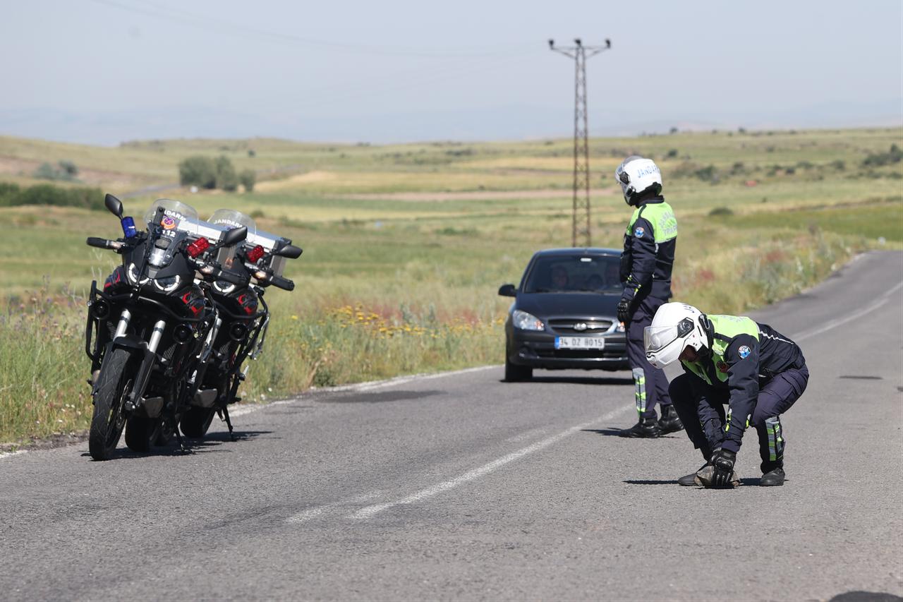 Turkish gendarmerie officers stop traffic as they move a turtle off the Alacasar-Tatlarin road, known locally as “Turtle Valley,” in Nevsehir, Türkiye. (AA Photo)