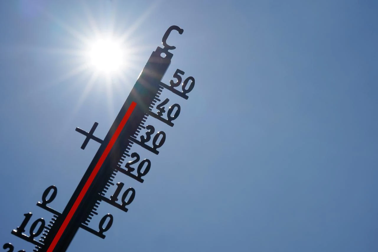 Heatwaves could cost German economy $23B a year, study says