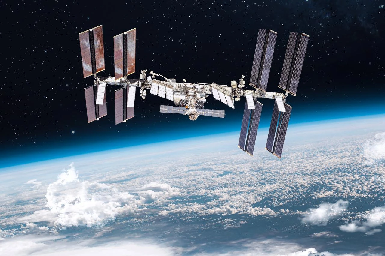 South Africa to send rooibos tea seeds to space station
