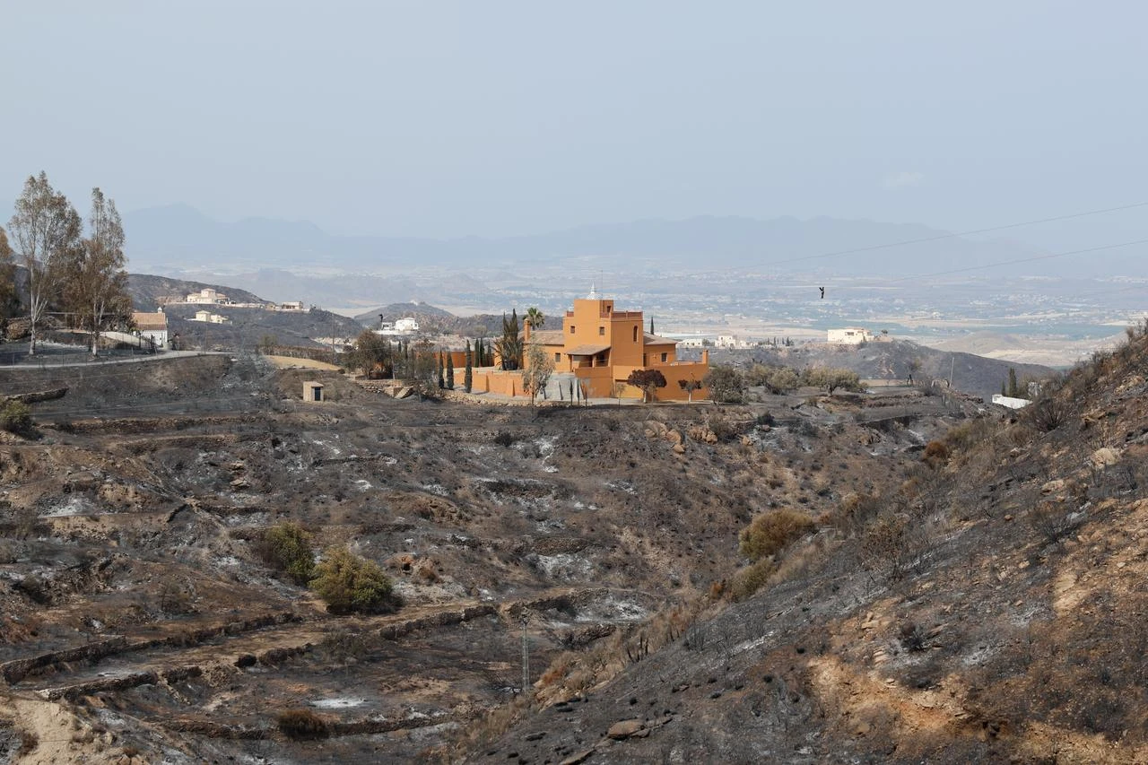 Burnt field in Los Gallardos in spain on July 11, 2026. (AA Photo)