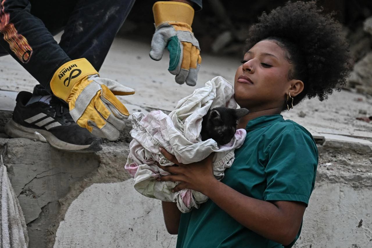 Miracle cat rescue brings hope to devastated Venezuela Image