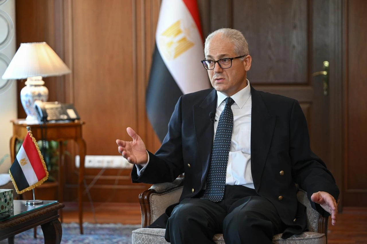 Ankara, Cairo working together for regional stability: Egypt's Envoy