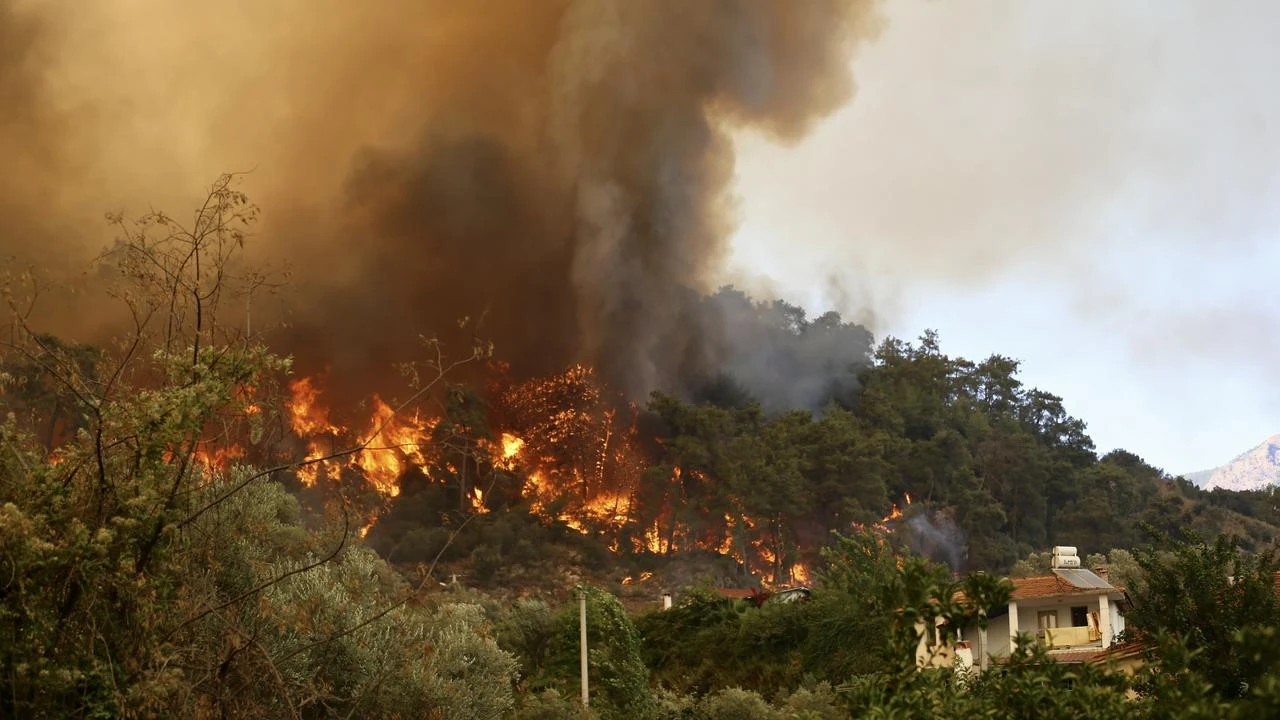 Forest fire breaks out in Mugla as emergency crews intervene