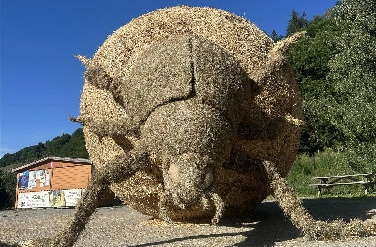 The completed “Dung Beetle / Scarabaeus Sacer” sculpture, made from straw and hay, is displayed in Valloire, France. (AA Photo)