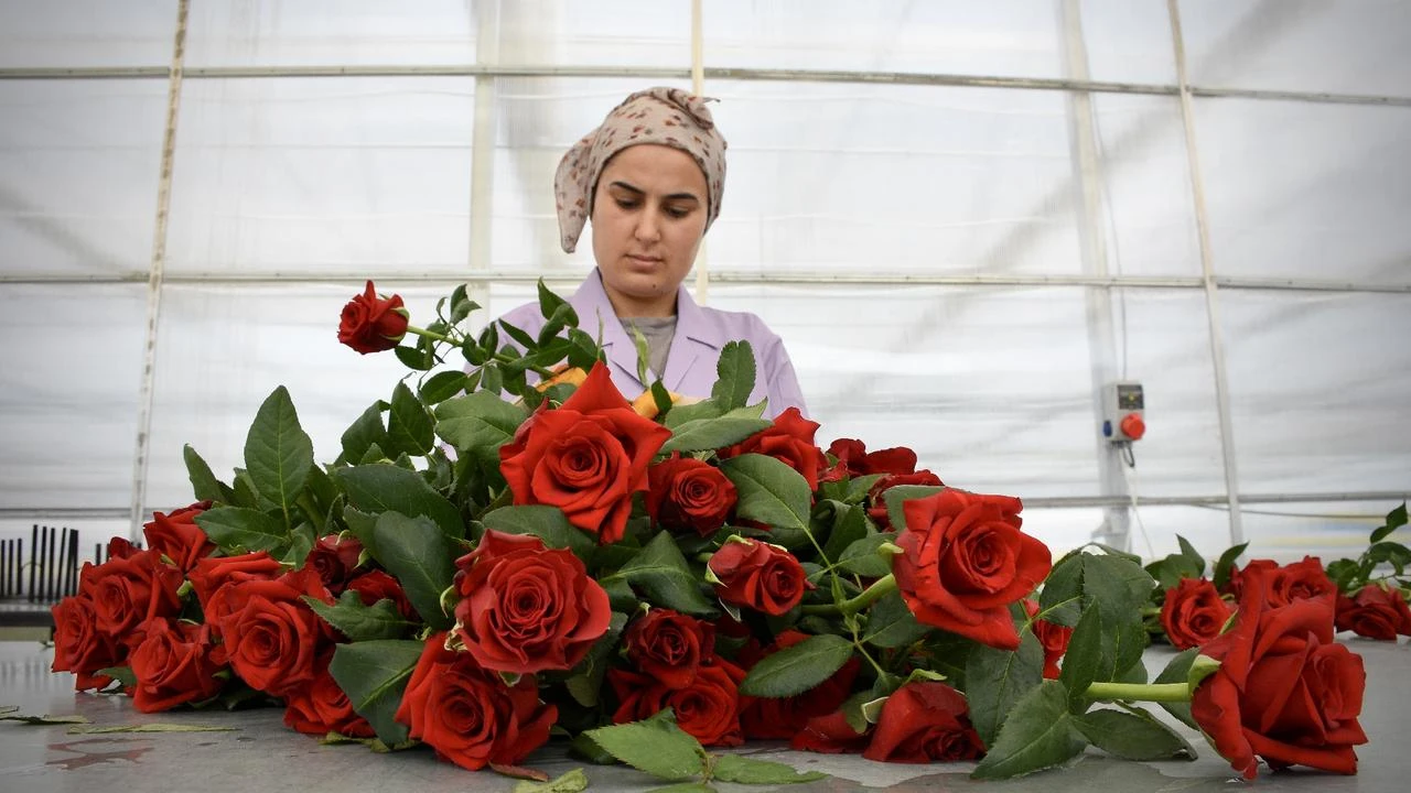Anadolu Agency