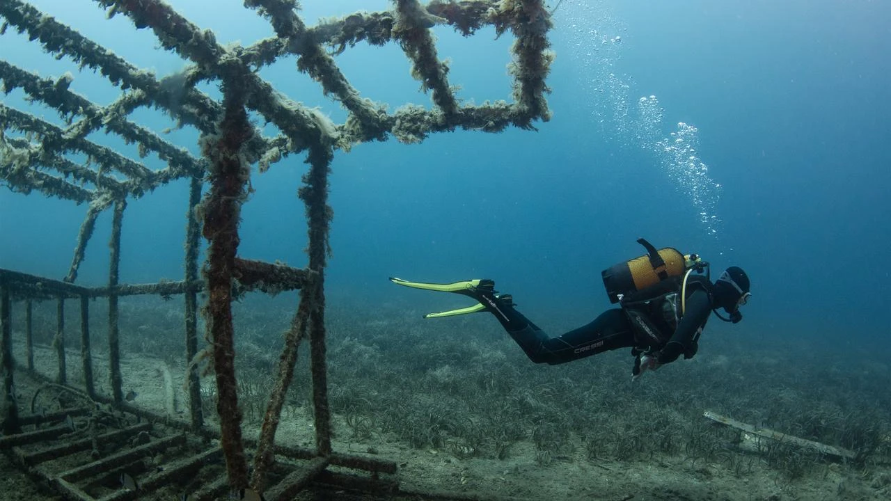 Seferihisar in Izmir boosts diving tourism with rich marine life and wrecks