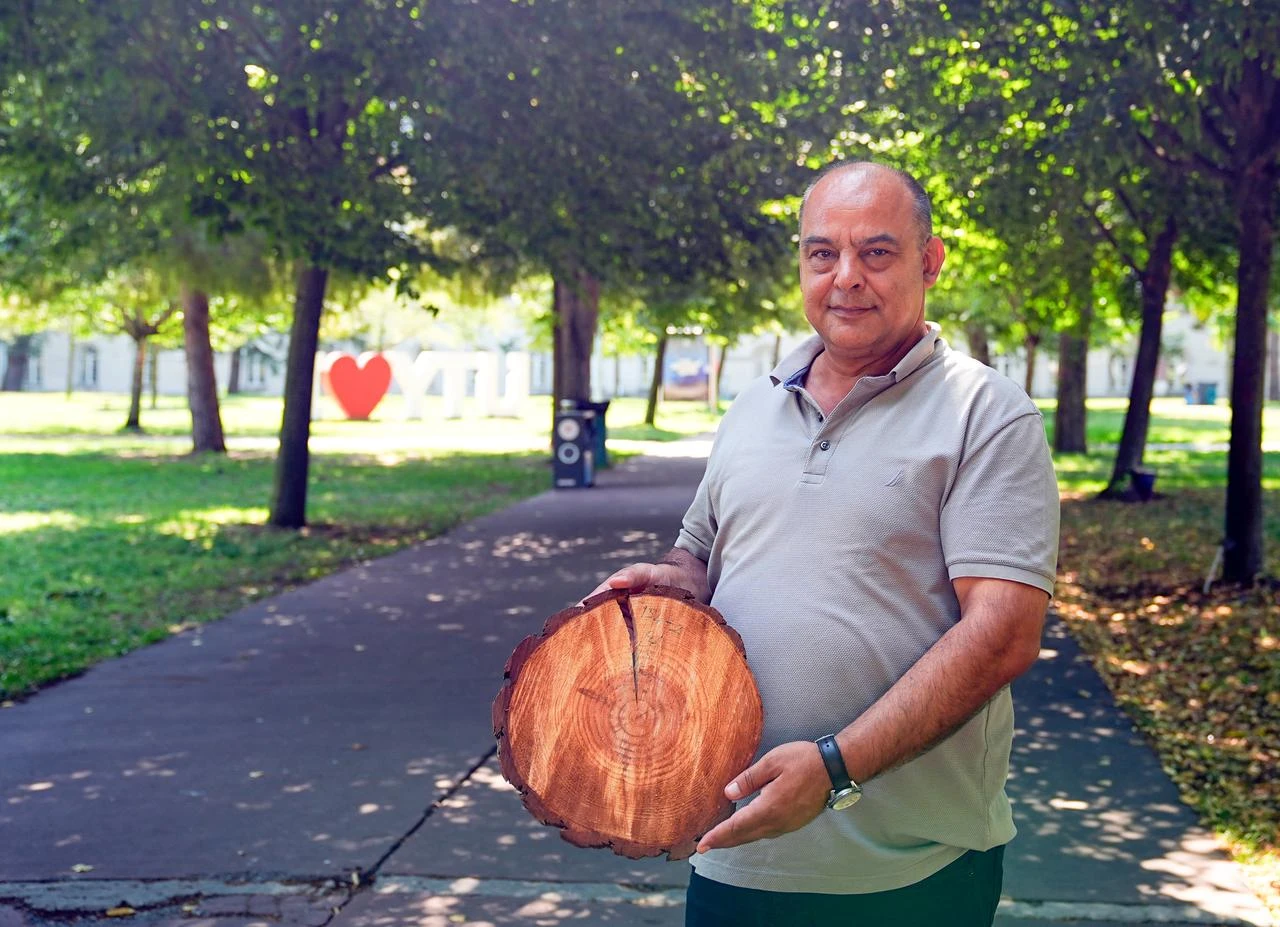 Prof. Dr. Makineci demonstrates cross-section of a tree trunk at Yildiz Technical University's Davutpasa Campus in Istanbul. (AA Photo)