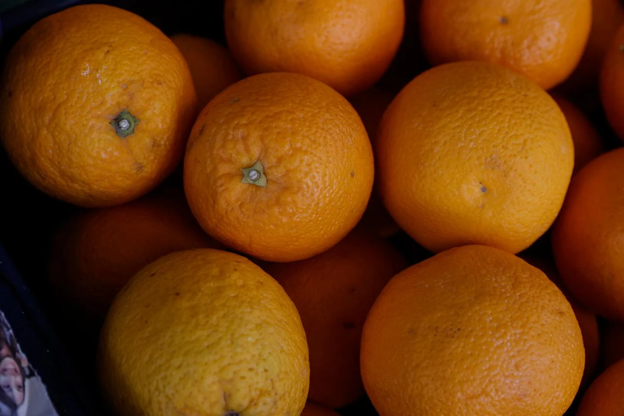 Türkiye’s citrus exports reach $911M in first half of 2026