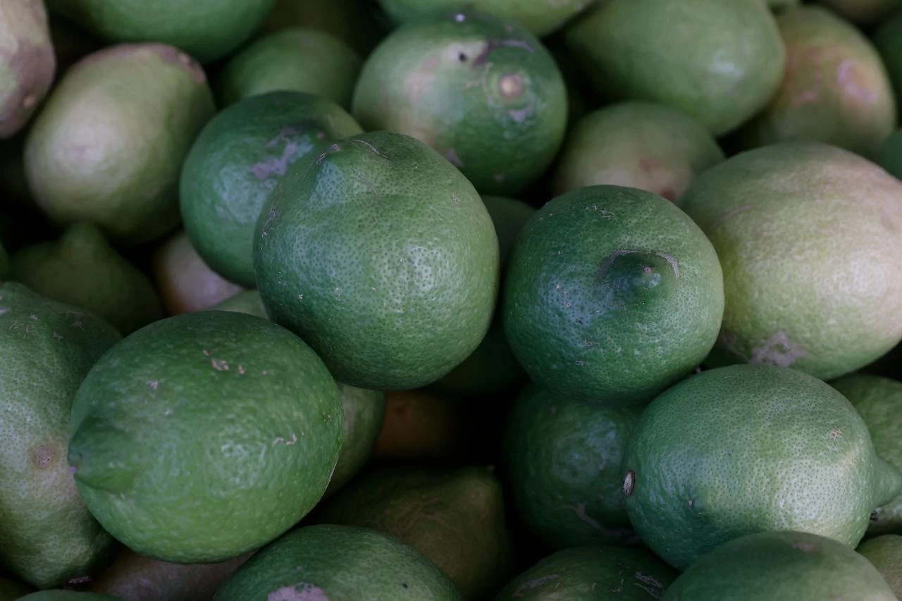 Photo shows citrus fruits in Mersin, Türkiye, accessed on July 25, 2026. (AA Photo)
