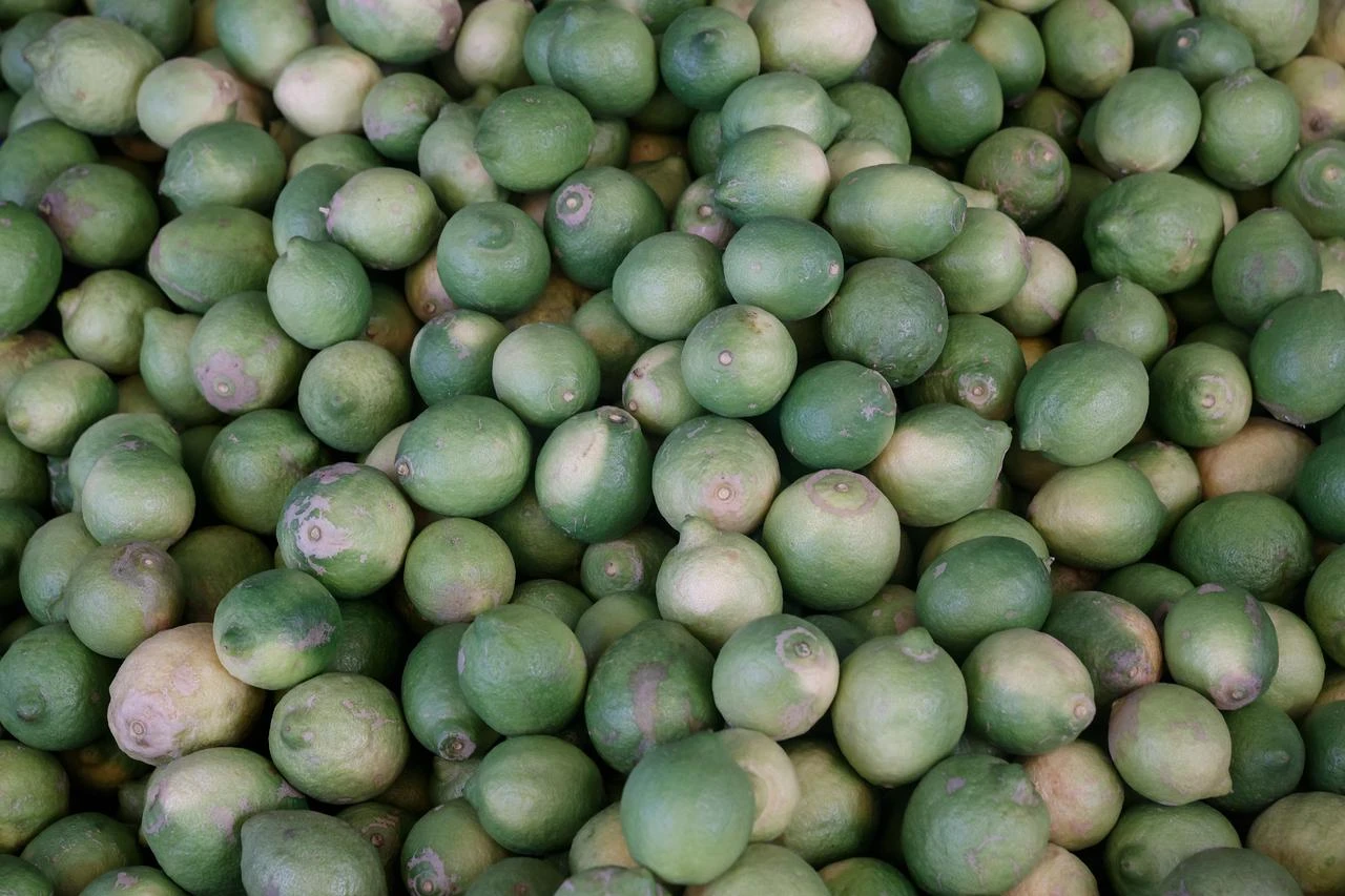 Photo shows citrus fruits in Mersin, Türkiye, accessed on July 25, 2026. (AA Photo)