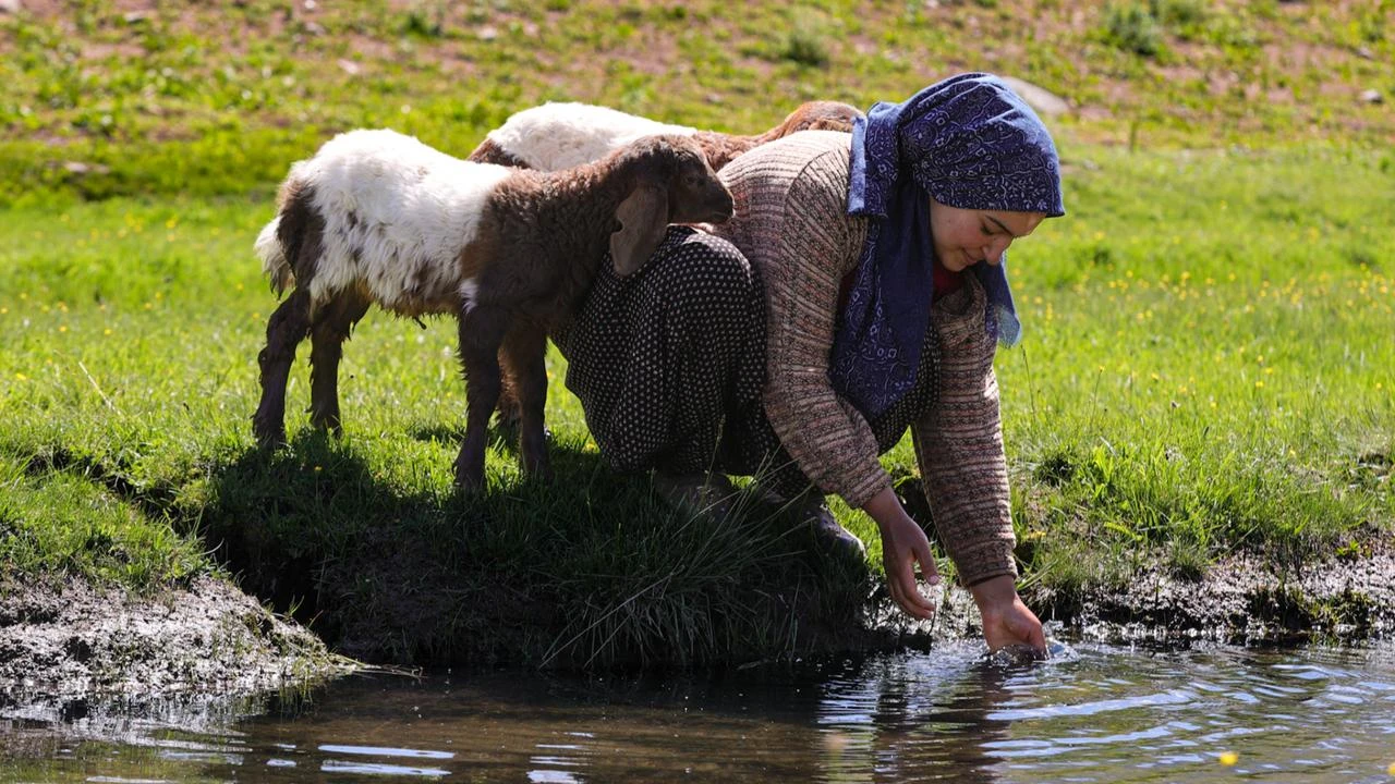 Anadolu Agency