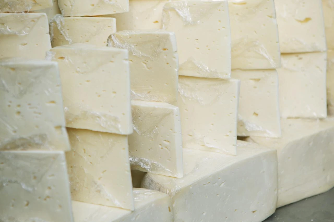 Fatal Listeria bacteria found in renowned Turkish brand's cheese