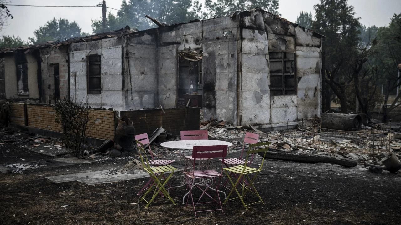 France's wildfire burns 42,000 hectares, forces record evacuations