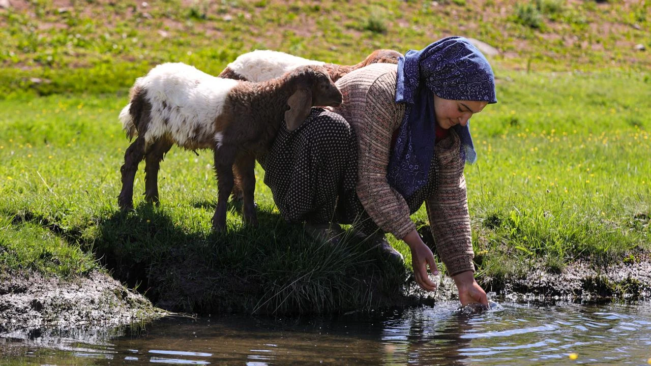 Anadolu Agency