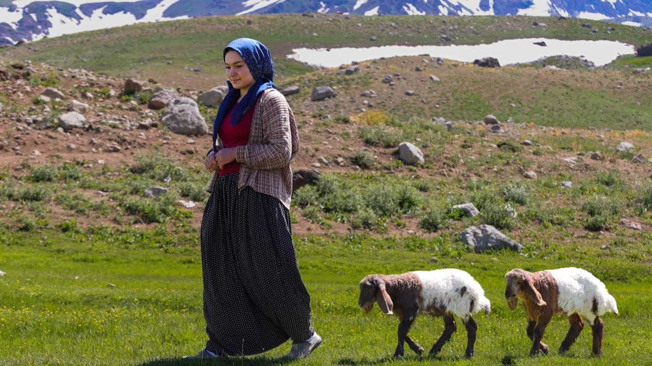 Anadolu Agency