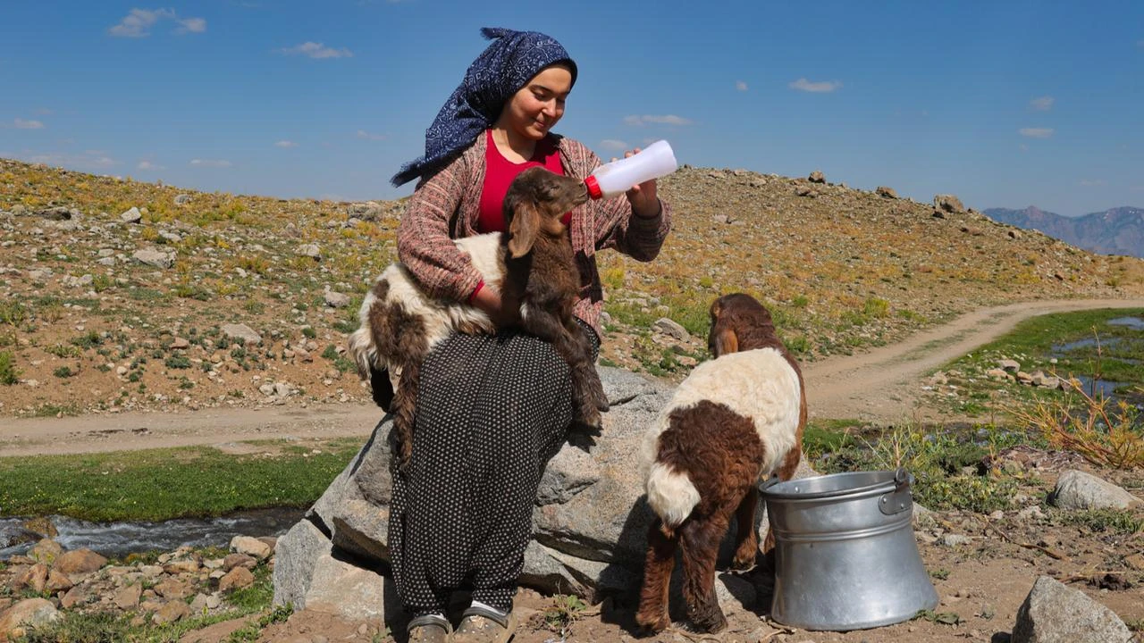 Anadolu Agency