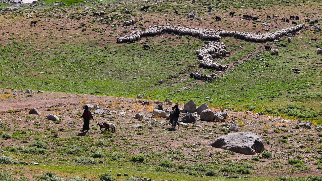 Anadolu Agency