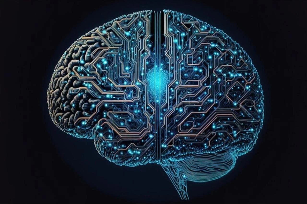A digital representation of the human brain symbolizes the growing risks and global debate over artificial intelligence. (AA Photo)