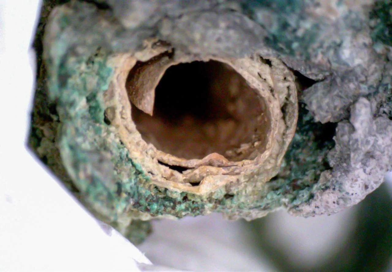 A close-up shows the interior of the corroded copper container in which an extremely thin gold sheet was discovered at Turkmen Karahoyuk. (AA Photo)