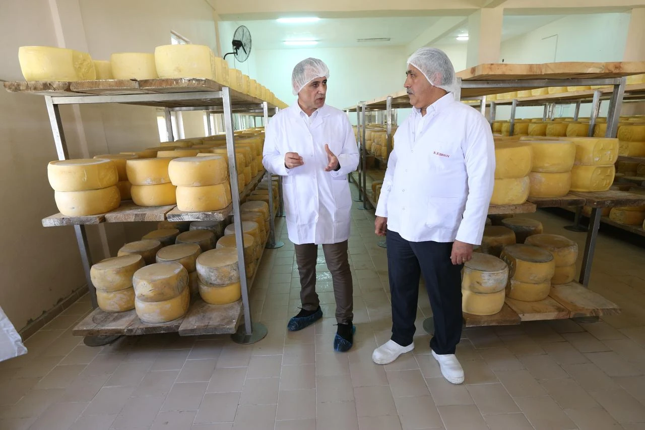 Eastern Türkiye's Kars seeks EU status for prized cheese