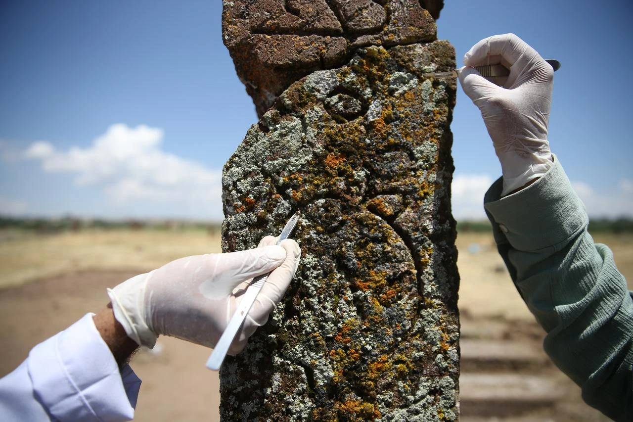 Conservation specialists remove lichen from a carved historic tombstone at the Seljuk Square Cemetery in Ahlat, Bitlis, Türkiye, July 28, 2026. (AA Photo)