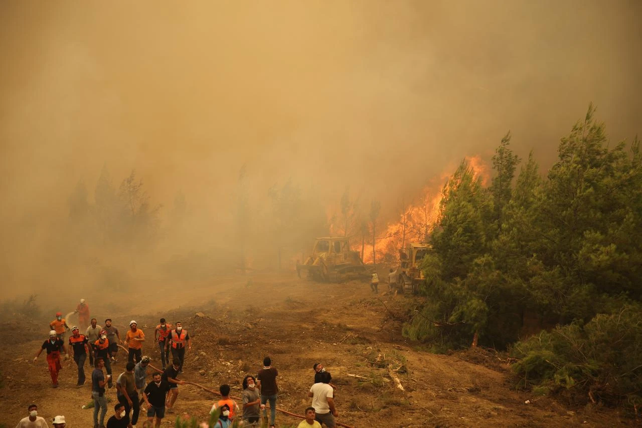 Forest fire in Türkiye's Mugla forces evacuations, clears hospital units