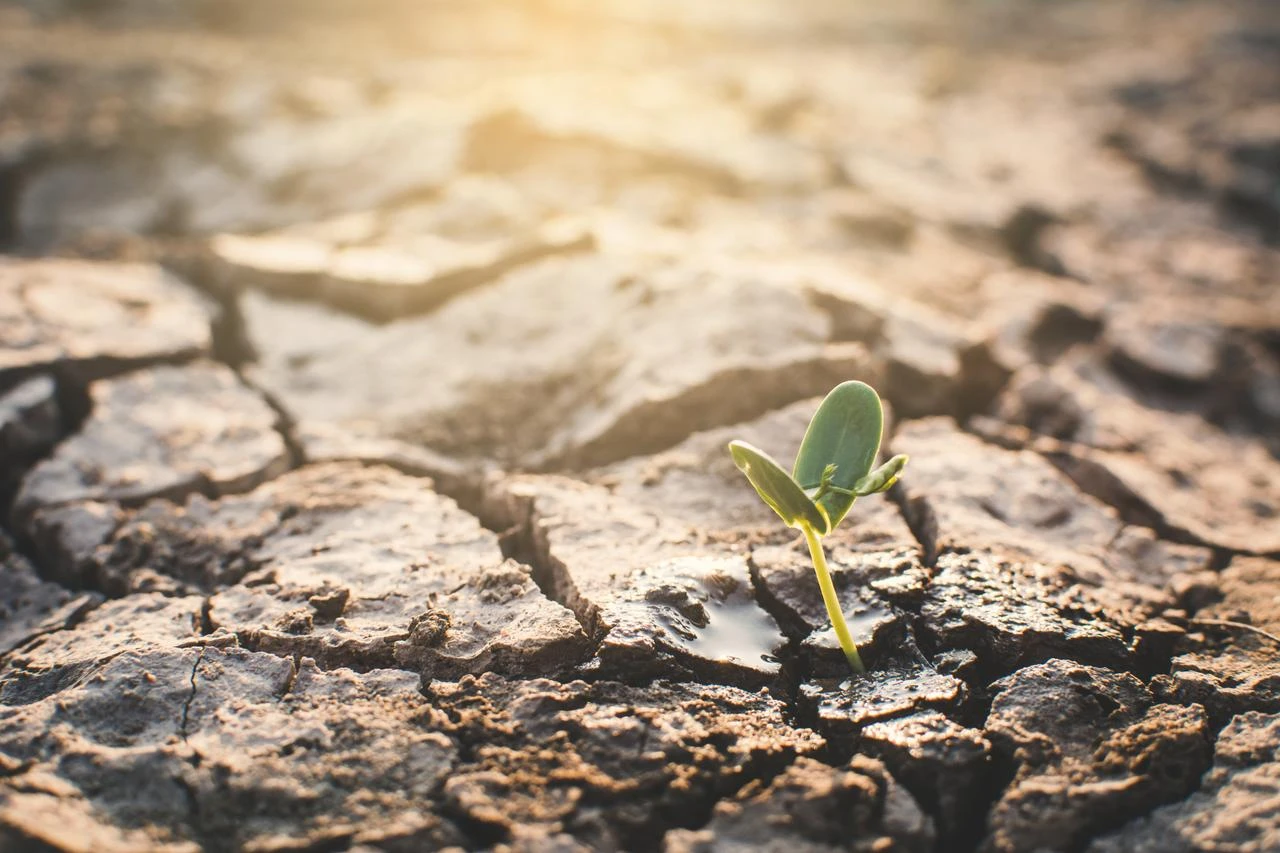 More than half of England officially declared in drought