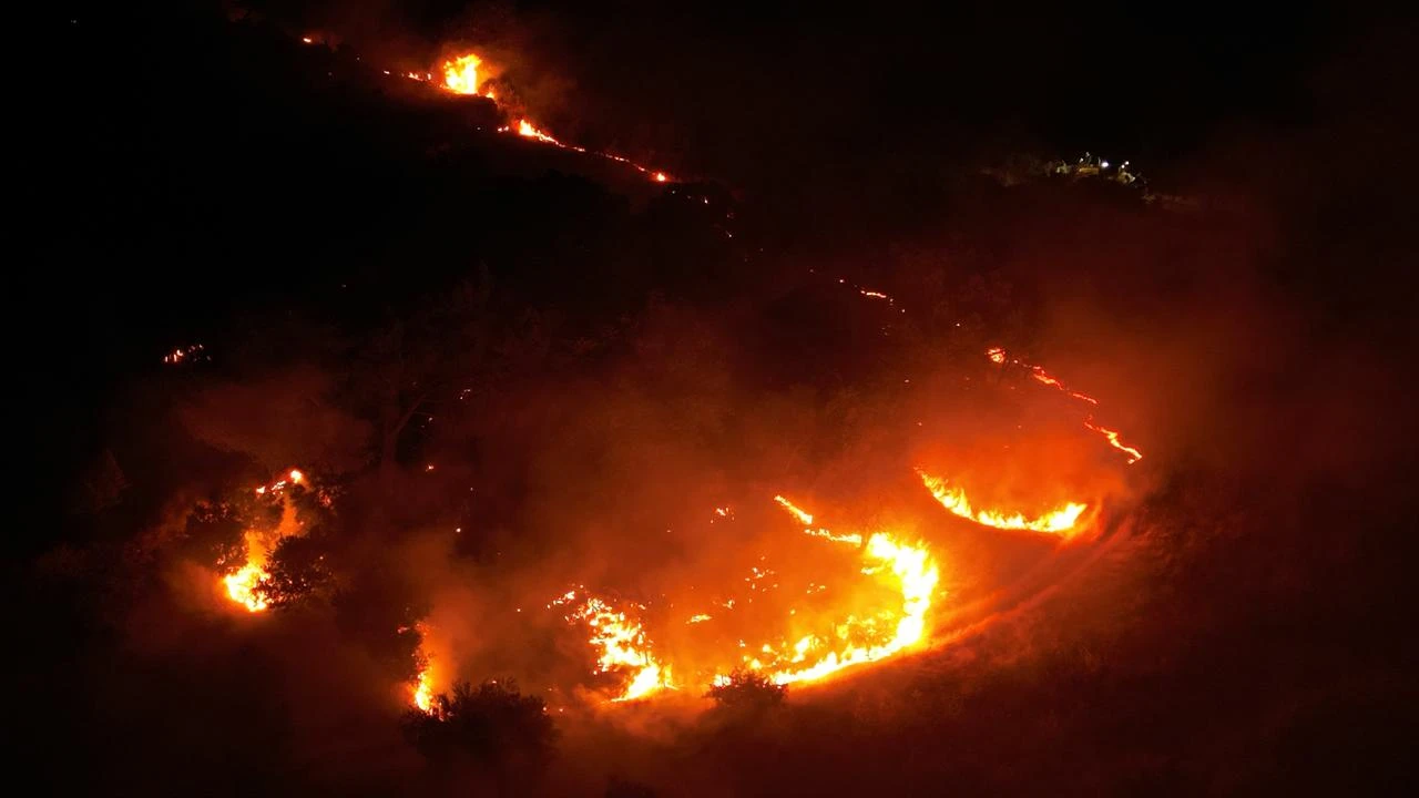 Flames spread through olive groves and scrubland during a wildfire in Manisa, Türkiye, July 28, 2026. (AA Photo)