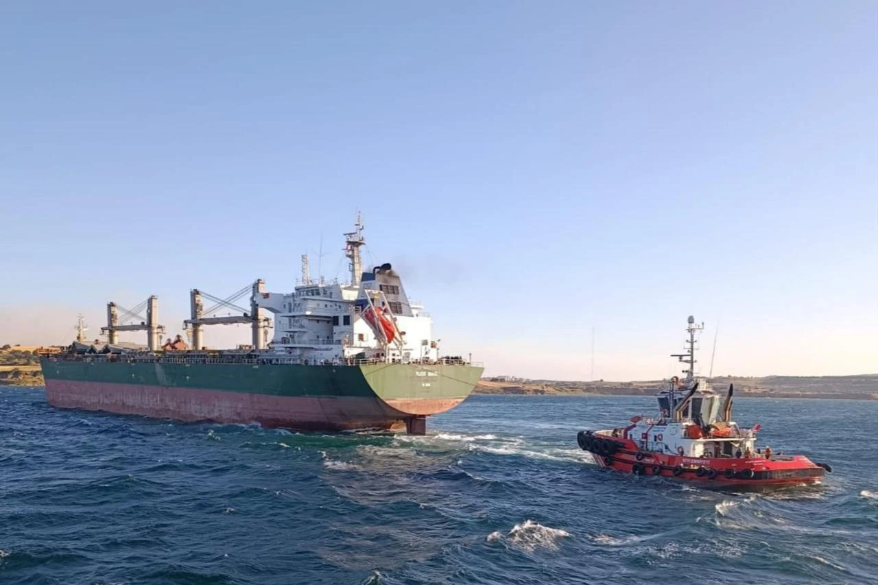 Vessel traffic halted in Türkiye's Dardanelles after bulk carrier runs aground
