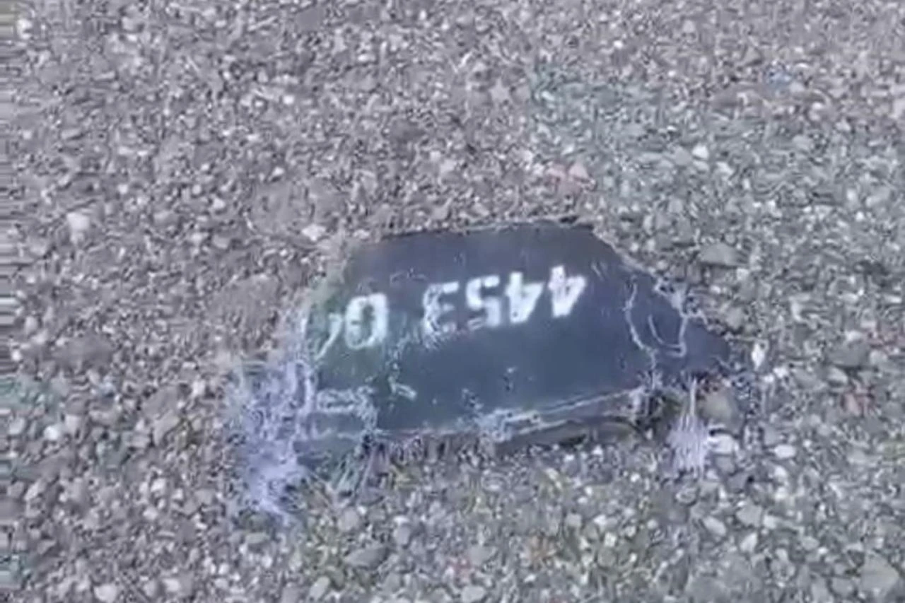 Drone carrying explosives crashes into tree in Türkiye's Black Sea village