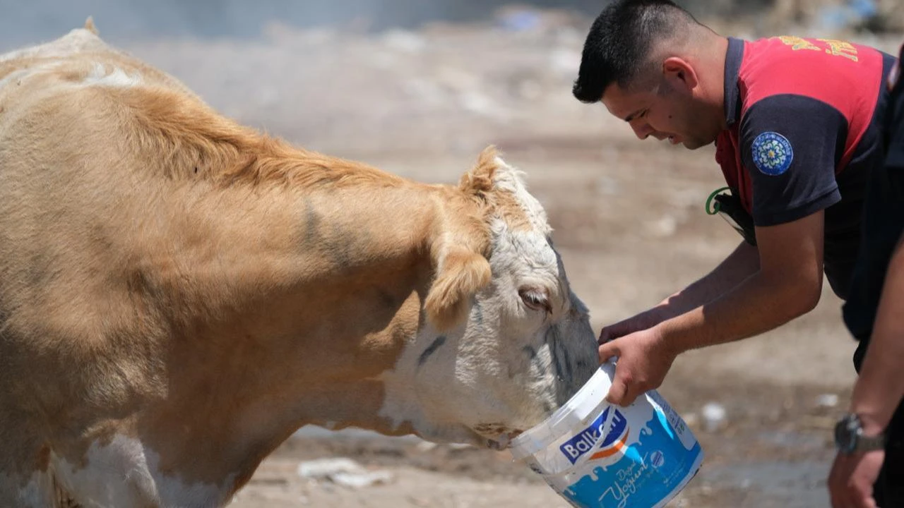 Anadolu Agency