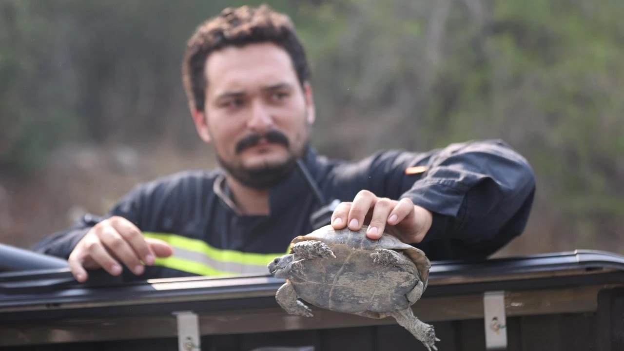 Through fire and smoke, Türkiye's firefighters refuse to let go