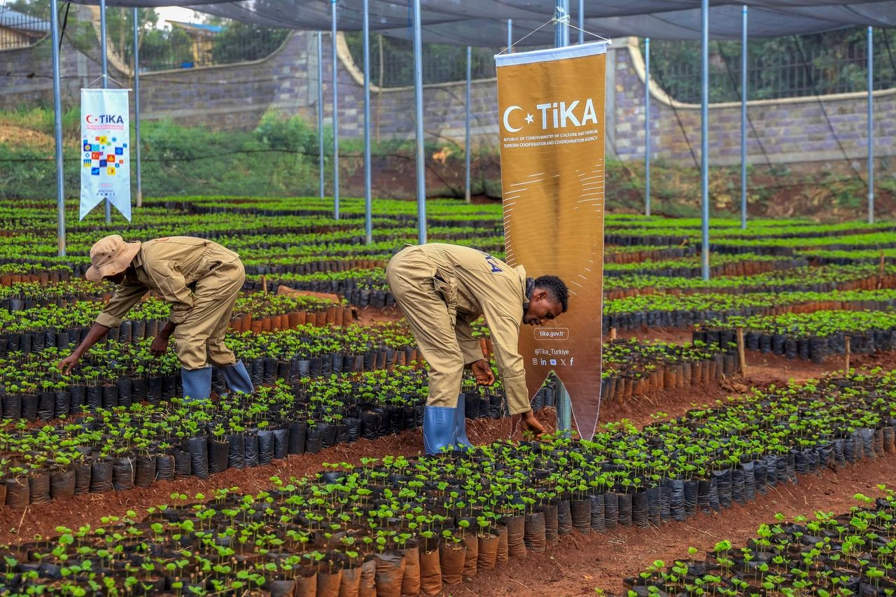 Türkiye sets up climate-resilient seedling facility in Ethiopia